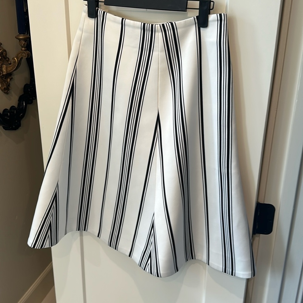 Beautiful A line skirt